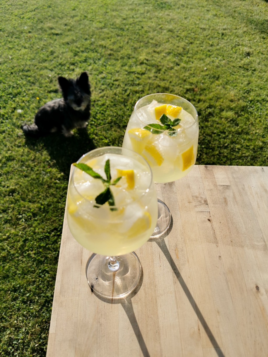 Premiär! Fredagsdrinken