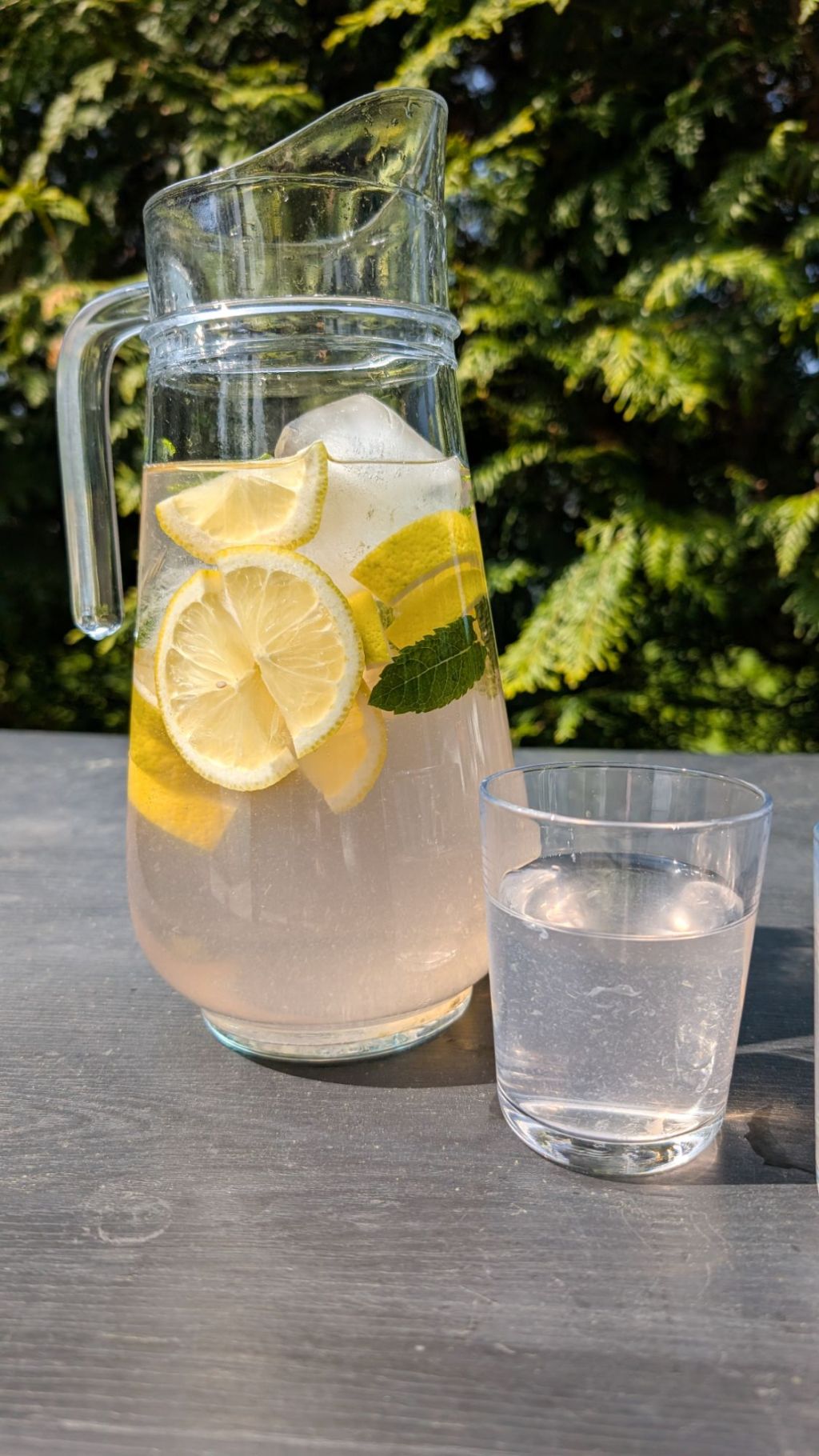 Rabarberlemonad – sommarmagi på&nbsp;flaska